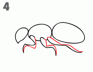 怎么画一只逼真的蚂蚁