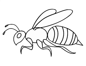 怎么画一只逼真的蚂蚁