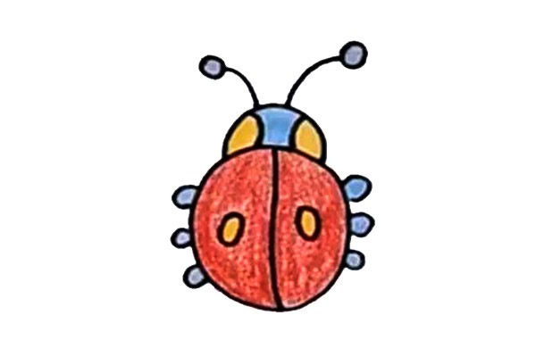 彩色甲壳虫简笔画步骤