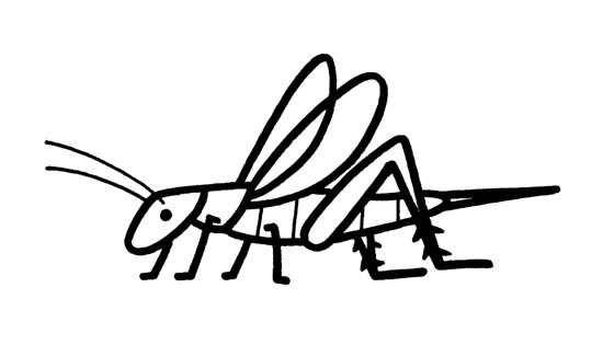 四款不同的蚂蚱简笔画