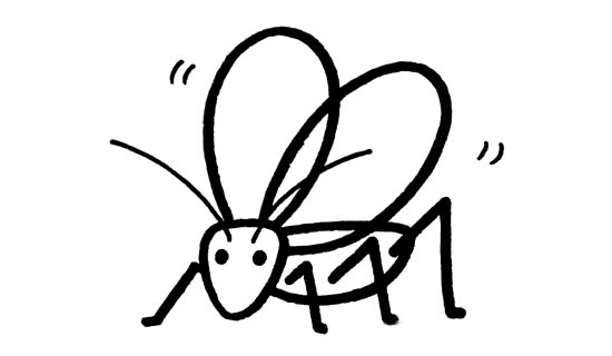 四款不同的蚂蚱简笔画