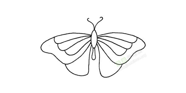 一看就会的蝴蝶简笔画