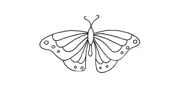 一看就会的蝴蝶简笔画
