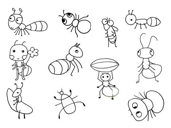 拿着一片叶子的蚂蚁简笔画