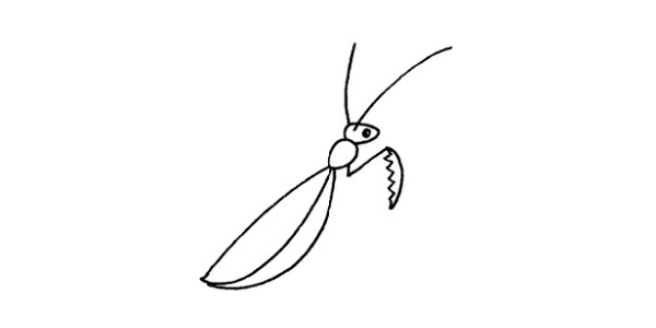 螳螂简笔画步骤