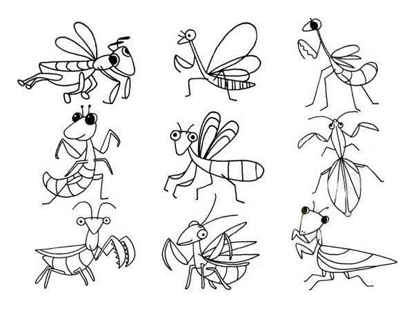 螳螂简笔画步骤