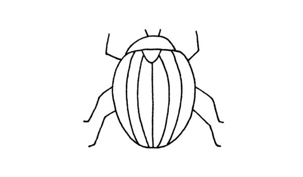 甲虫简笔画的步骤