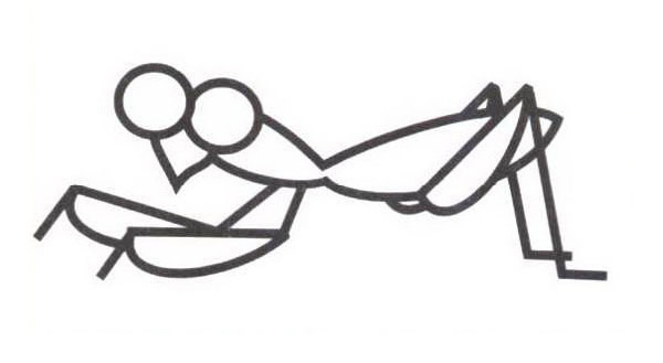 上色的螳螂简笔画