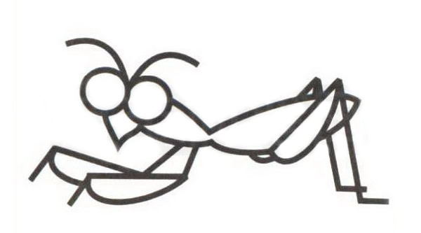 上色的螳螂简笔画