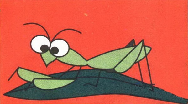 上色的螳螂简笔画