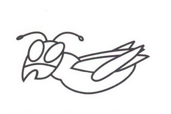 蟋蟀简笔画步骤