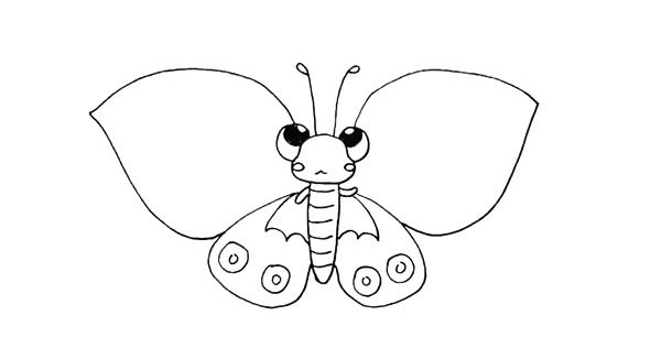 色彩斑斓的蝴蝶简笔画 色彩斑斓的蝴蝶简笔画