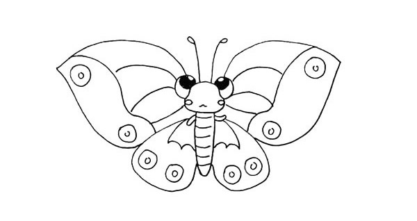 色彩斑斓的蝴蝶简笔画 色彩斑斓的蝴蝶简笔画