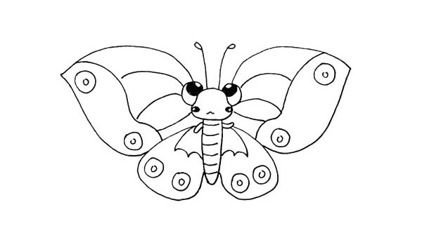 色彩斑斓的蝴蝶简笔画 色彩斑斓的蝴蝶简笔画