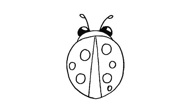 七星瓢虫简笔画详细步骤 七星瓢虫简笔画详细步骤
