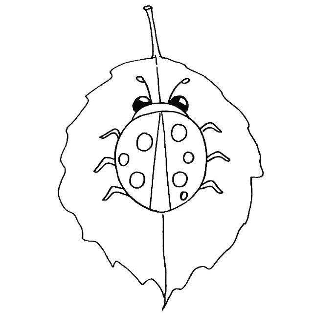 七星瓢虫简笔画详细步骤 七星瓢虫简笔画详细步骤