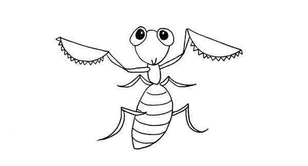 彩色的螳螂怎么画 彩色的螳螂怎么画