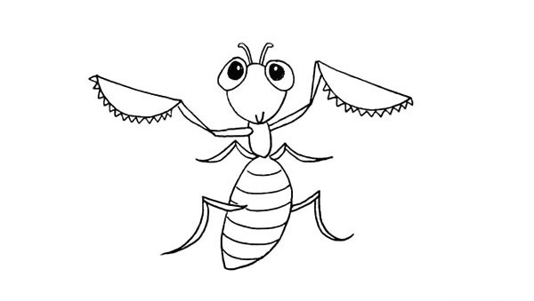 彩色的螳螂怎么画 彩色的螳螂怎么画