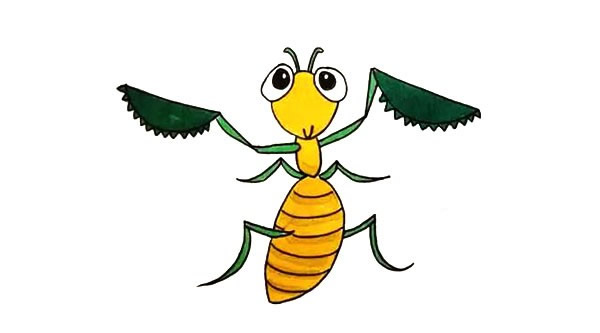 彩色的螳螂怎么画 彩色的螳螂怎么画