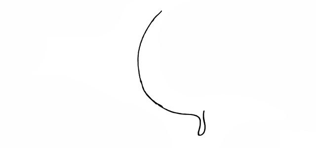 漂亮的蝴蝶和花朵简笔画 漂亮的蝴蝶和花朵简笔画