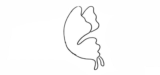 漂亮的蝴蝶和花朵简笔画 漂亮的蝴蝶和花朵简笔画