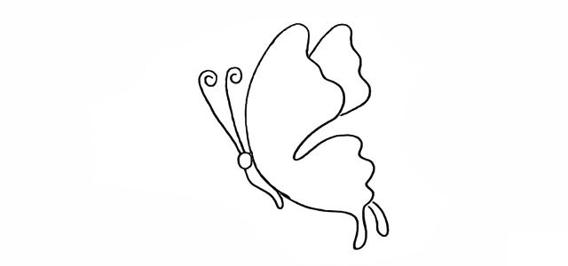 漂亮的蝴蝶和花朵简笔画 漂亮的蝴蝶和花朵简笔画