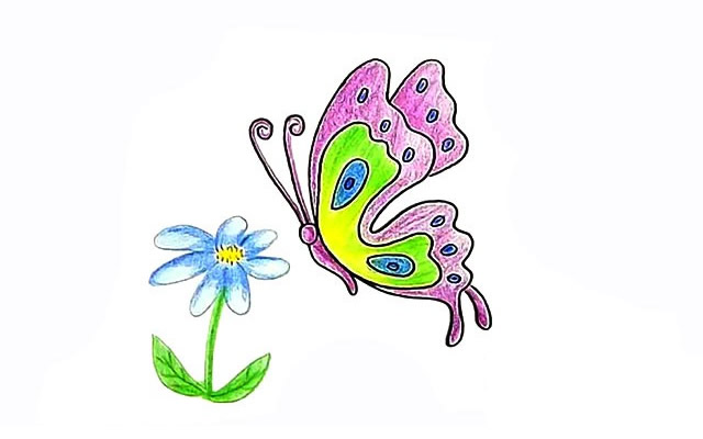 漂亮的蝴蝶和花朵简笔画 漂亮的蝴蝶和花朵简笔画