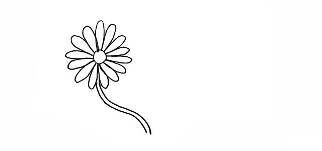 蜜蜂和花朵的简笔画步骤