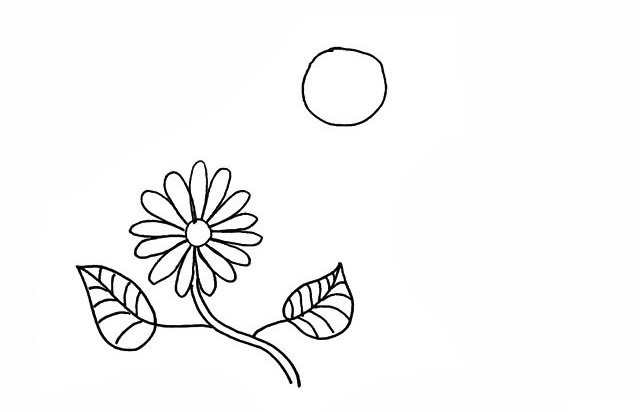 蜜蜂和花朵的简笔画步骤