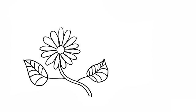 蜜蜂和花朵的简笔画步骤