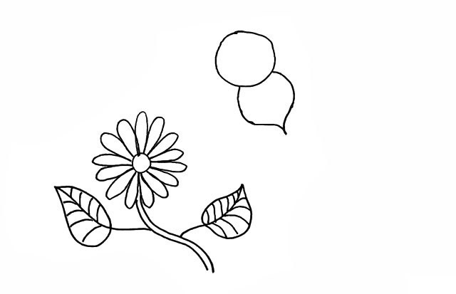 蜜蜂和花朵的简笔画步骤