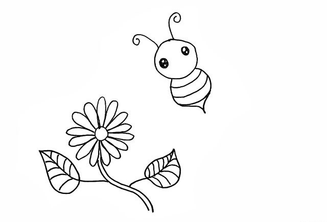 蜜蜂和花朵的简笔画步骤