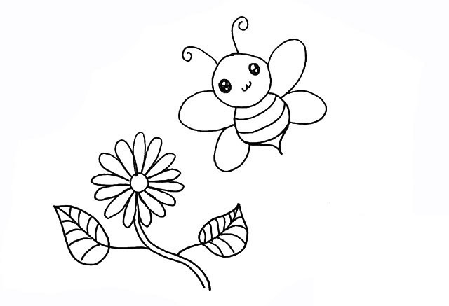 蜜蜂和花朵的简笔画步骤