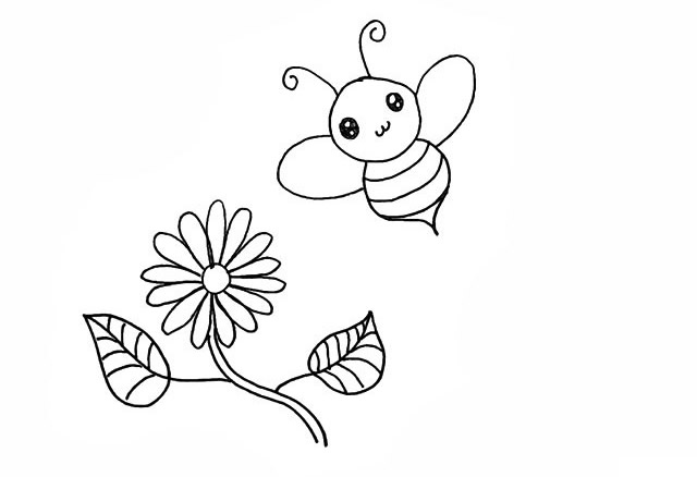 蜜蜂和花朵的简笔画步骤