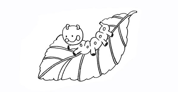 毛毛虫和树叶的简笔画 毛毛虫和树叶的简笔画