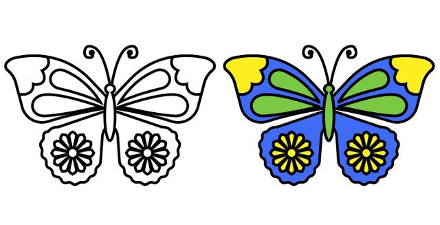 8种不同的美丽蝴蝶简笔画
