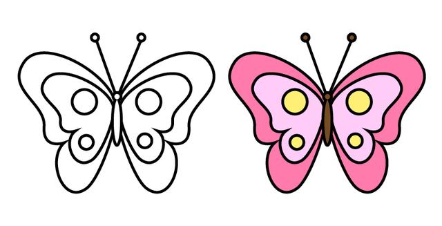 8种不同的美丽蝴蝶简笔画