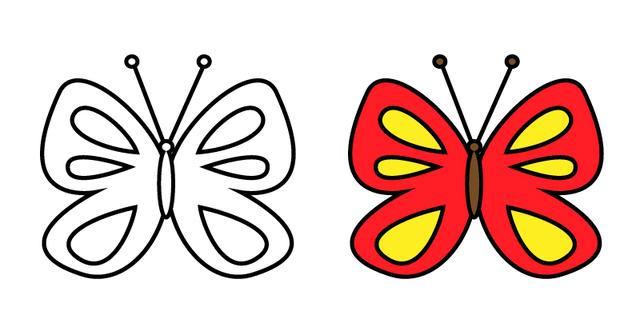 8种不同的美丽蝴蝶简笔画