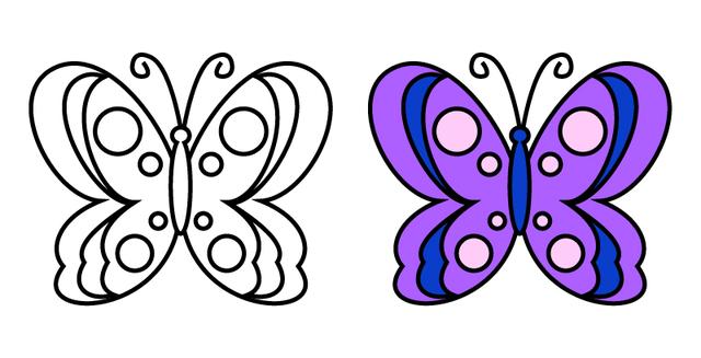 8种不同的美丽蝴蝶简笔画