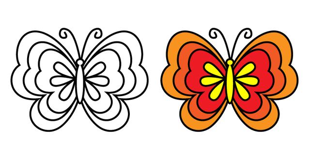 8种不同的美丽蝴蝶简笔画