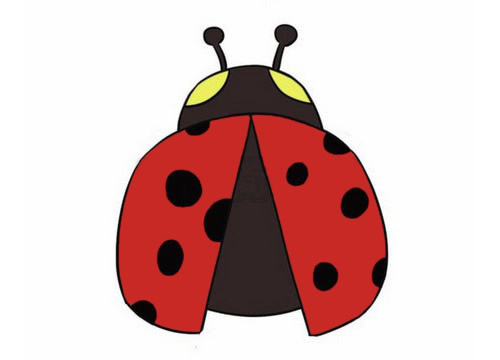 彩色的七星瓢虫简笔画大全