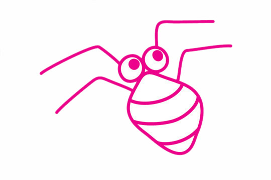 简单的蜘蛛简笔画的画法