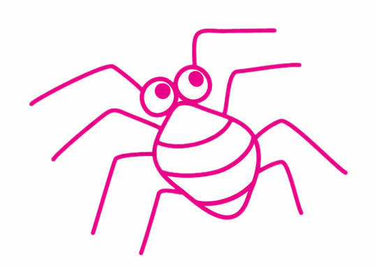 简单的蜘蛛简笔画的画法