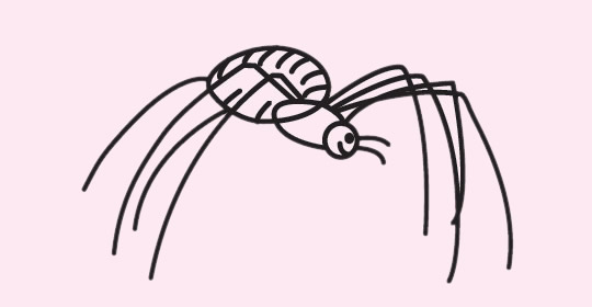 分享一些蜘蛛的简笔画