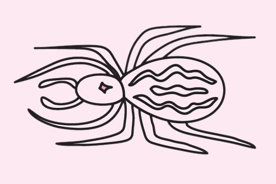 分享一些蜘蛛的简笔画