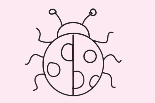 一组瓢虫的简笔画图片大全