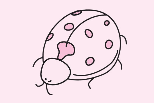 一组瓢虫的简笔画图片大全