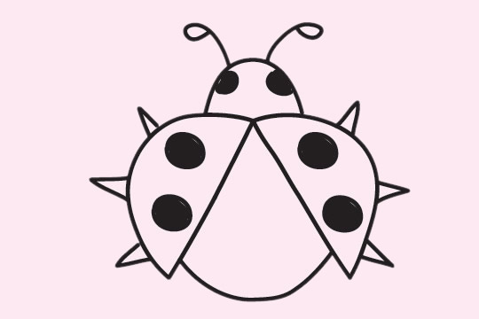 一组瓢虫的简笔画图片大全