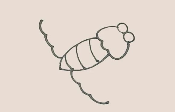 漂亮的飞蛾简笔画步骤 漂亮的飞蛾简笔画步骤