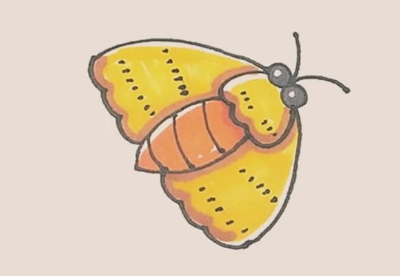 漂亮的飞蛾简笔画步骤 漂亮的飞蛾简笔画步骤